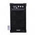 Tiger Bluetooth Speaker 20 Watt Black - TG-3300