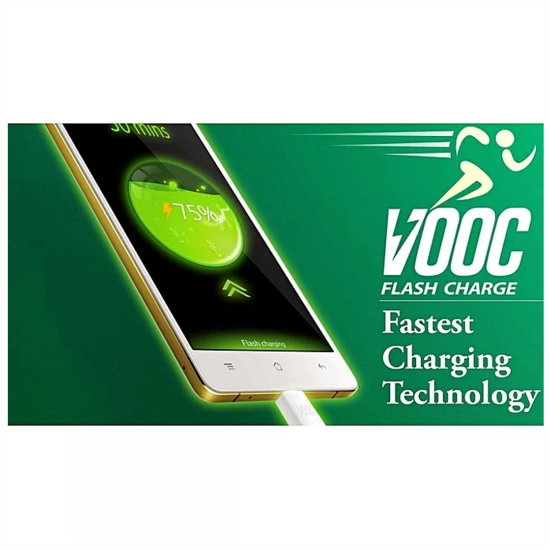 Oppo fast charging phones charger